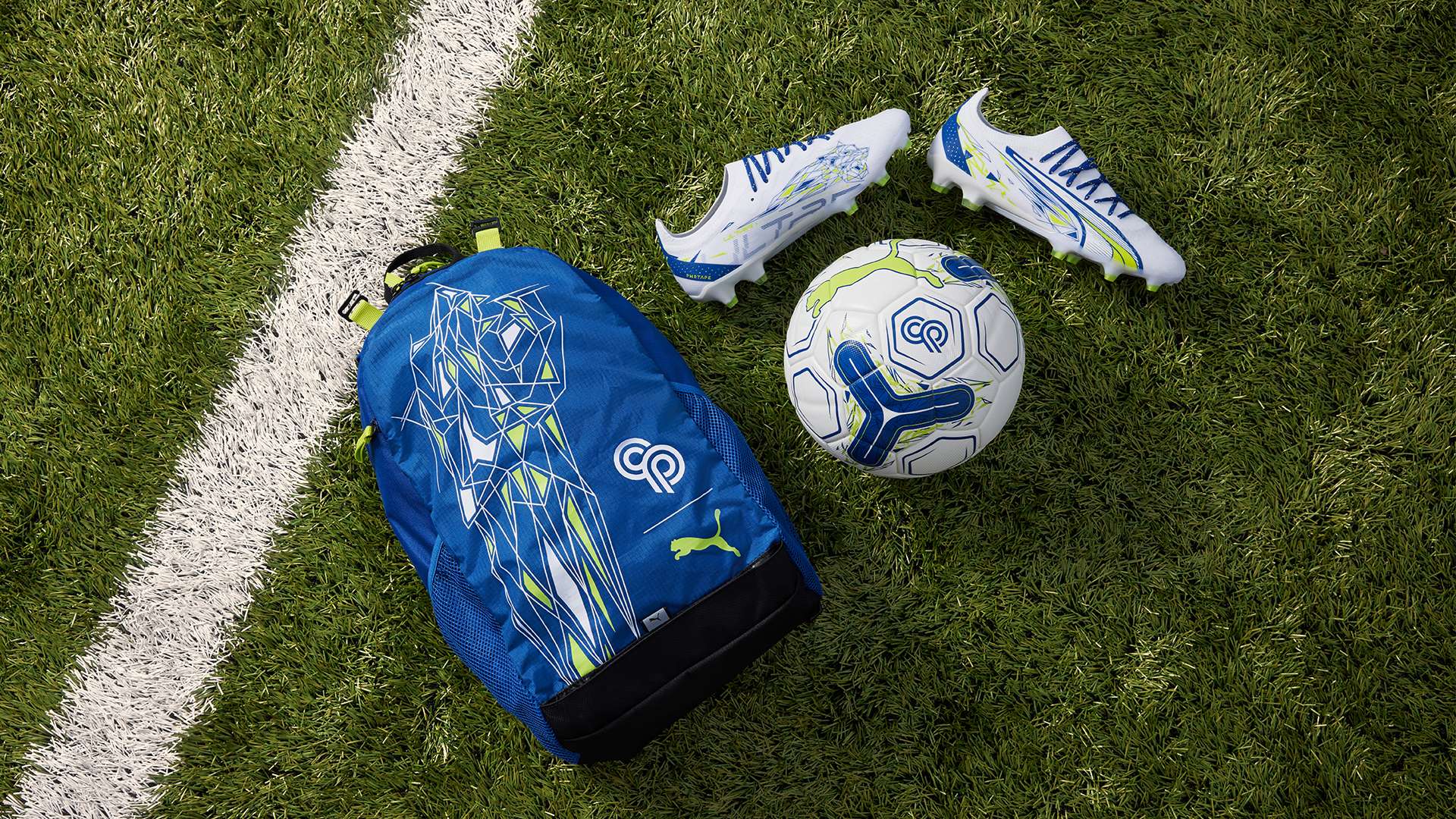 制定更有针 制定更有针